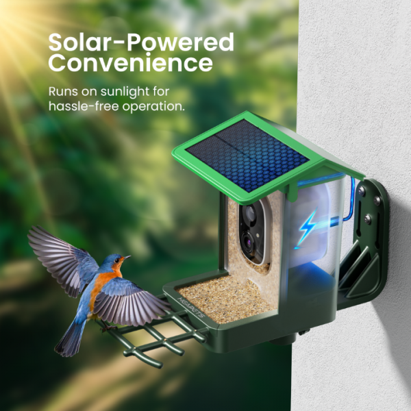 HEAPETS Bird Feeder with Camera Solar Powered 2K HD Video, 10,000+ Species AI Recognition, Real-Time App Alerts, and Weatherproof Design for Effortless Birdwatching, Gift for Bird Lovers, Grass Green