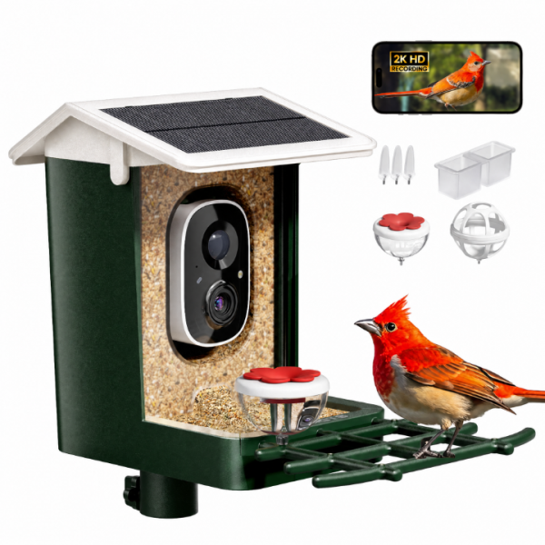 Bird Feeder with Camera